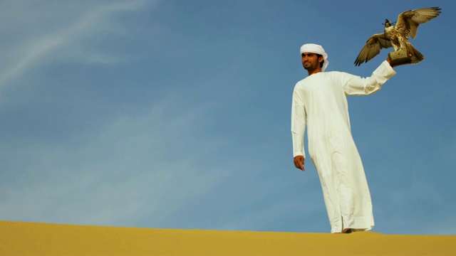 猎鹰平衡阿拉伯男性主人手套沙漠沙丘视频下载