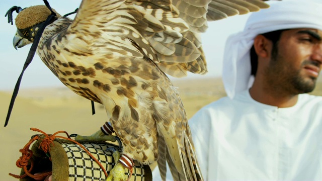 穿着传统服装的阿拉伯男子展示训练有素的猎鹰视频素材