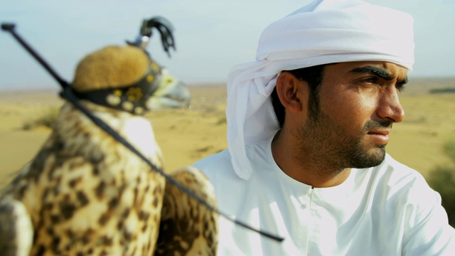 训练猎鹰平衡阿拉伯主人手套沙漠位置视频素材