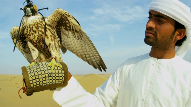 阿拉伯男子传统服饰展示游隼阿联酋视频素材