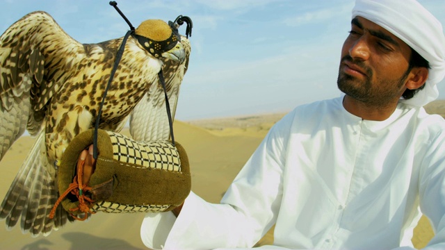 头戴猎鹰平衡阿拉伯男性猎鹰手套迪拜视频下载