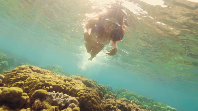 美丽的女人在泳衣和通气管面具下游泳在阳光的背景下。妇女浮潜和看珊瑚礁和海鱼在海水中。水下世界和海洋生物。视频素材