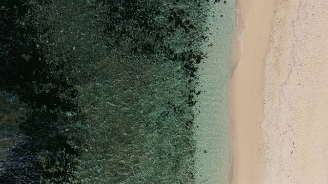 位于毛里求斯偏远的海滩视频素材