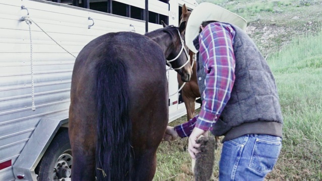 牛仔用咖哩梳梳理他的马视频素材