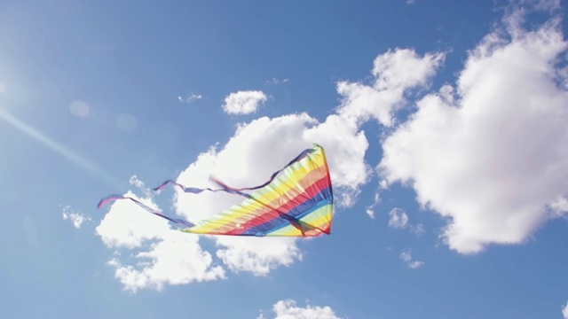 风筝和鸟儿一起飞翔。视频素材