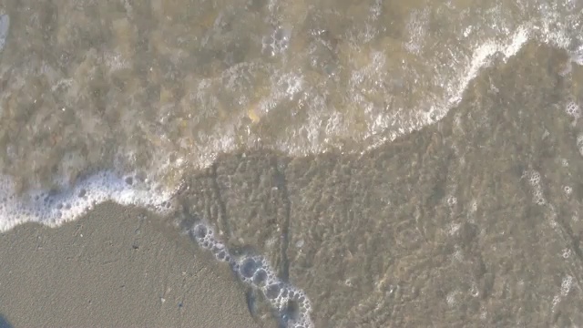 美丽的海浪在海里视频素材