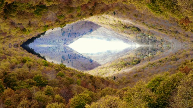 无人机镜头令人惊叹的秋天森林与镜面效果。视频下载