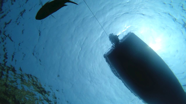 水下拍摄的人游泳潜水与鳍和面具下的船浮动。视频素材