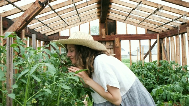 戴着草帽、穿着衣服的农妇走进温室享受丰收视频下载