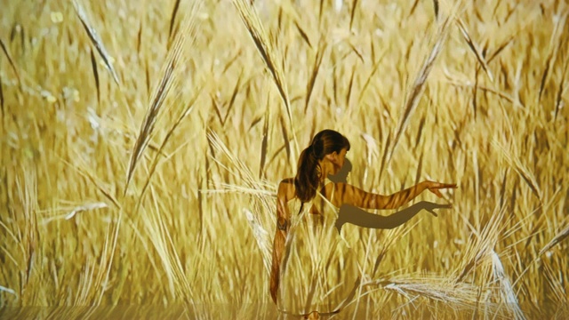 小麦投射在女舞者身上视频素材