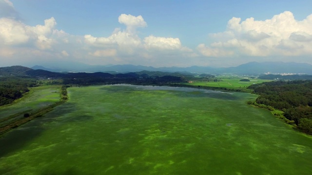 乌波沼泽(水禽栖息地的重要湿地，登记为拉姆萨尔湿地)，位于庆尚南道昌宁视频素材