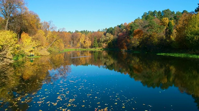 五彩缤纷的秋日森林在湖面上视频素材