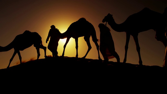 阿拉伯沙漠地区的中东雄性骆驼的主人视频素材
