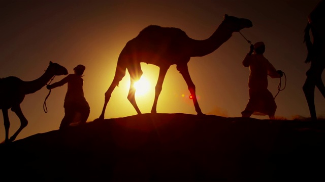 穿着传统服饰的阿拉伯贝都因男性牵着骆驼视频素材