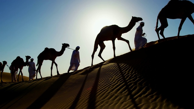 穿越中东沙漠的骆驼商队列车视频下载