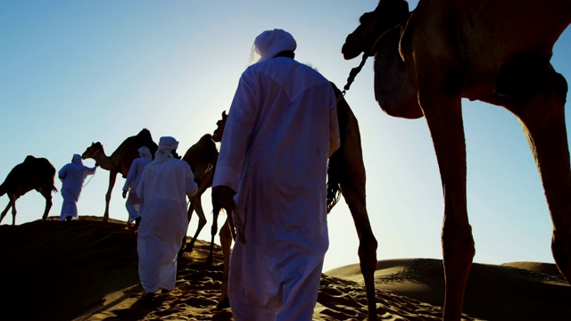 咀嚼,骆驼,男人,阿拉伯人头巾视频素材