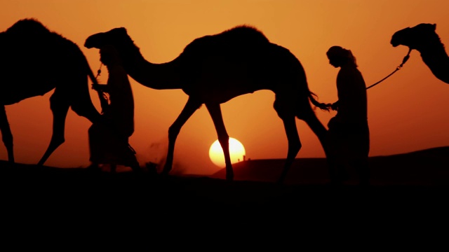 空中日落的骆驼列车中东沙漠视频下载
