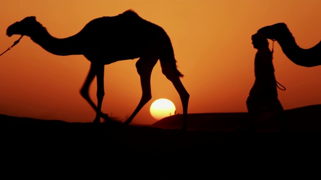 驯兽师带领空中骆驼穿越沙漠视频下载