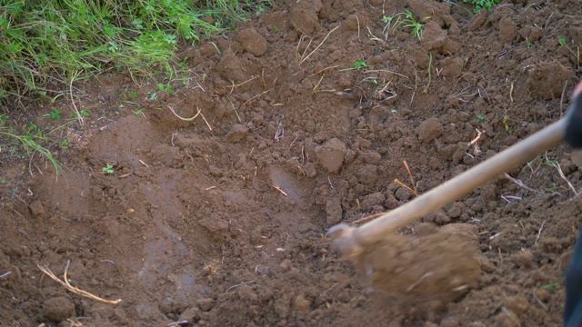 一个年轻人正在挖洞种植一棵树视频素材