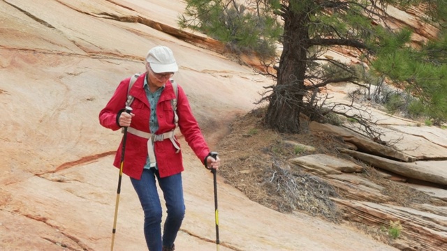 在犹他州锡安，一个爱冒险的老妇人拿着登山杖走下悬崖视频下载