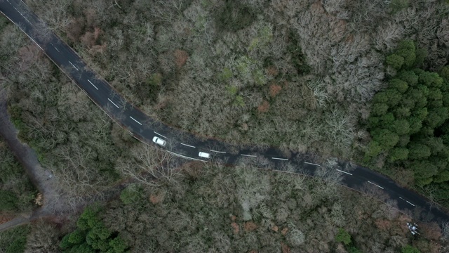 森林中车道的鸟瞰图视频素材