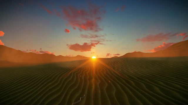 沙漠中的嘉德蛇映衬着美丽的日落视频素材