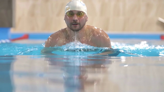 专业游泳运动员在游泳池中进行蛙泳表演视频下载