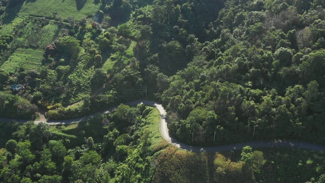 通过森林的公路旅行-空中视点4k视频视频素材