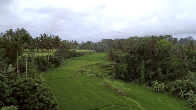 鸟瞰图农业土地在农村，巴厘岛，印度尼西亚。视频素材