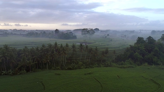 鸟瞰图农业土地在农村，巴厘岛，印度尼西亚。视频素材