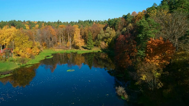五彩缤纷的秋天森林木材在湖上视频素材