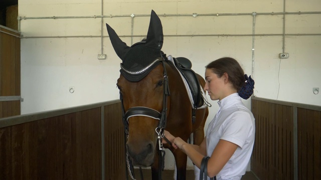 近距离观察:专注的年轻女子准备她的惊人的马的竞争。视频下载
