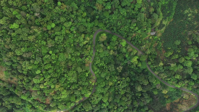 通过森林的公路旅行-空中视点4k视频视频素材