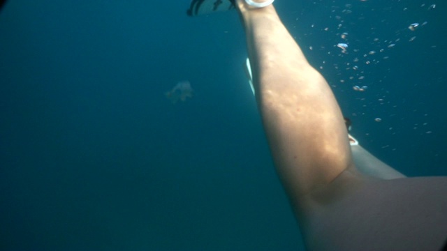 潜水的慢动作。腿和鳍的观点。奇异的蓝绿色海水。视频素材