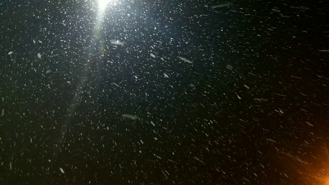 雪在夜里落在路灯上视频素材