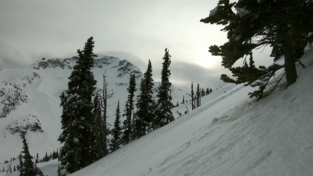 在山上滑雪视频素材