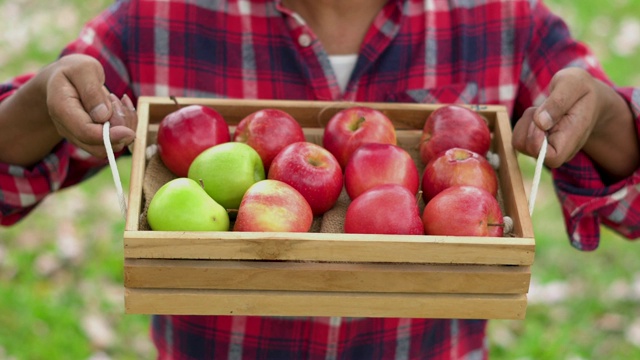 农民拿着苹果篮子的特写。视频下载