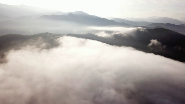 空中拍摄到森林和山上的云层视频素材