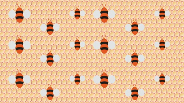 蜂巢和飞行的蜜蜂电影过渡在一个巢视频素材