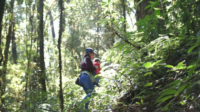 探索绿色森林的女人视频素材