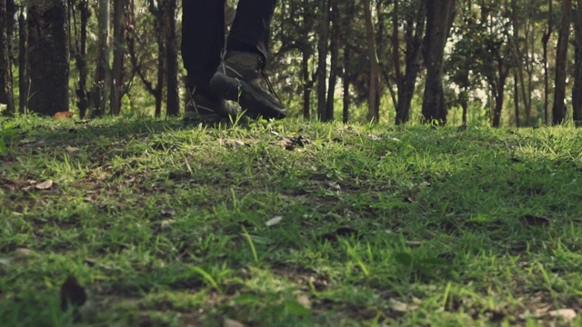 拍女人腿徒步，徒步女人徒步是探索森林自然探险的概念视频下载