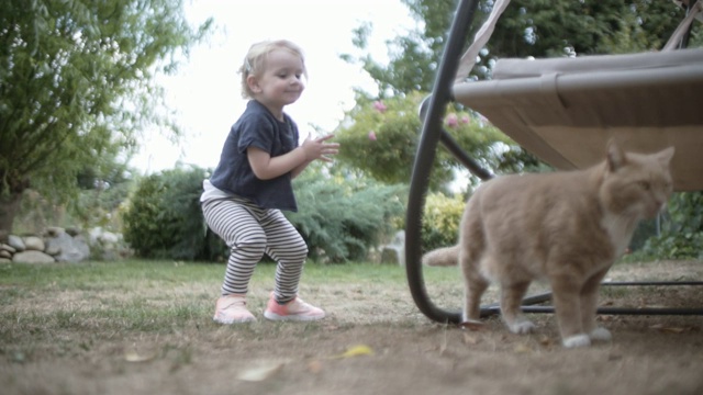 可爱的小女孩在后院摸猫视频素材