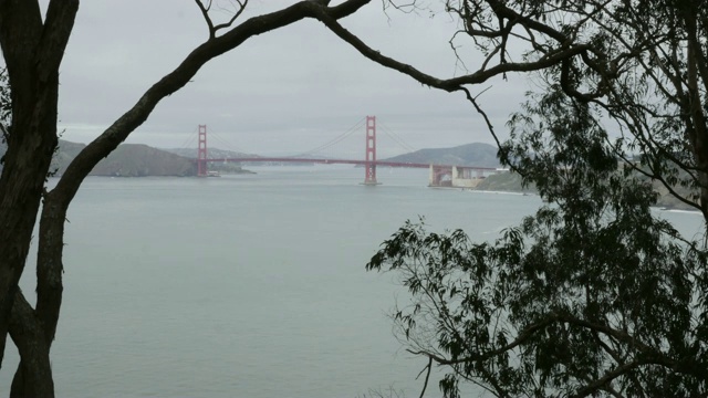 旧金山金门大桥穿越树木时间间隔为4k视频素材