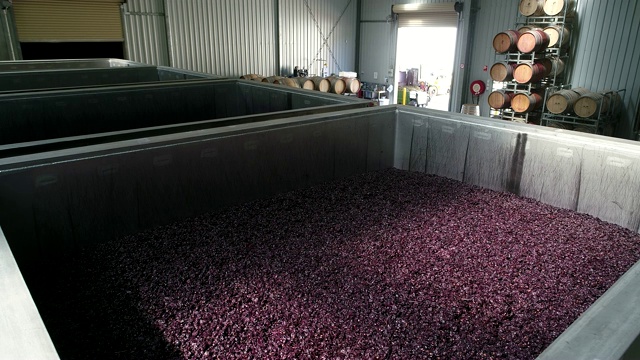 4k葡萄酒酿造显示葡萄在桶中，内部视频下载