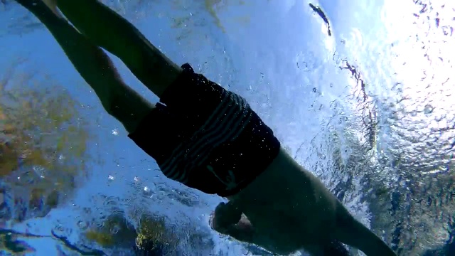 自由泳从下面视频下载