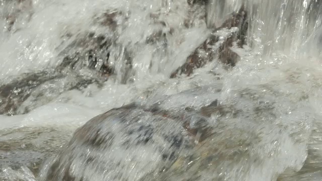 森林里的泉溪视频素材