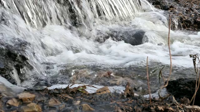 森林里的泉溪视频下载