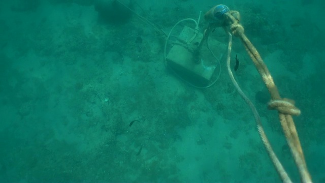 水下绳索，浮标和链系在绿松石海床的底部。系泊系统。泡泡，微粒，浮游生物，动物和植物。版本5视频素材