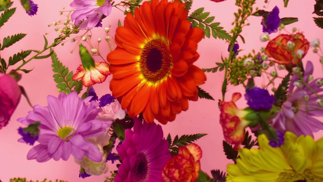 一组鲜艳的花头在粉红色的背景上跳跃和飞溅视频素材
