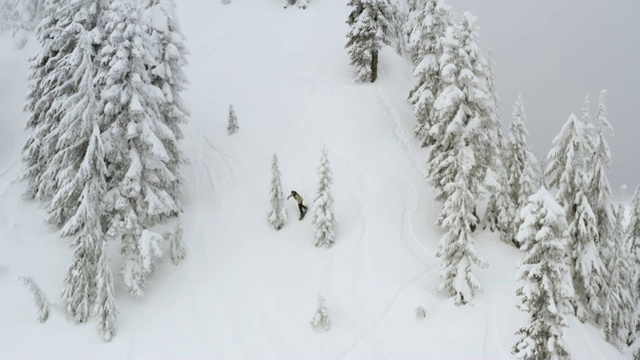 滑雪板粉末雪坡无人机角度以上骑手雕刻Pow转弯视频素材